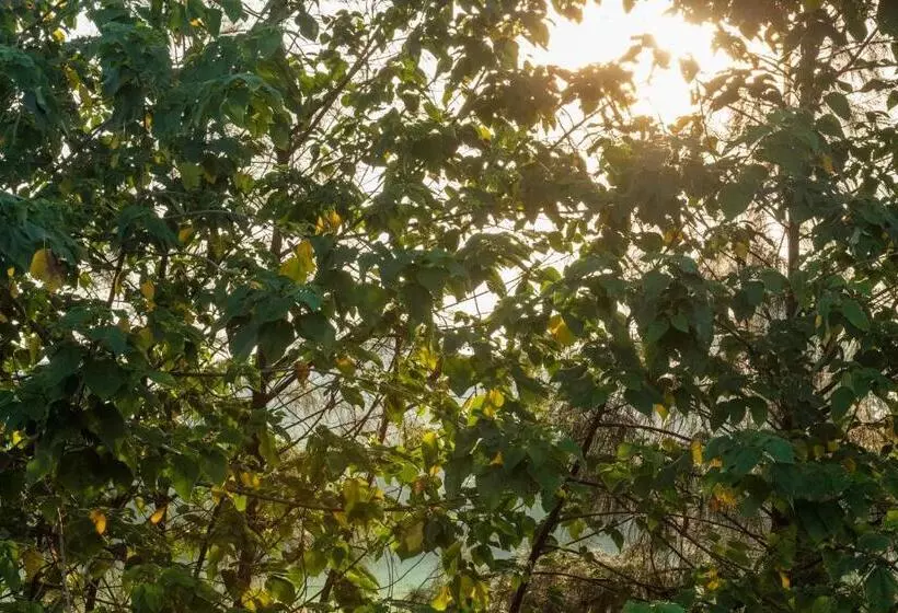 پانسیون Residence 256 Kampala, Kigo