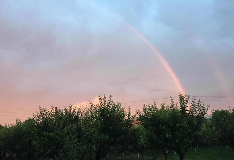 پانسیون Yan Guest House