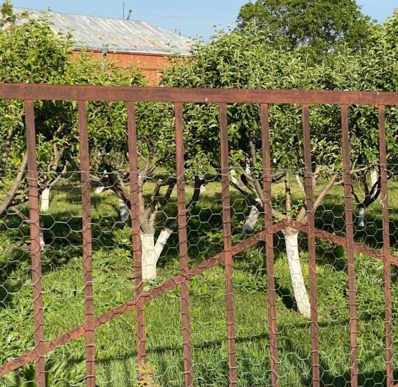 پانسیون Yan Guest House