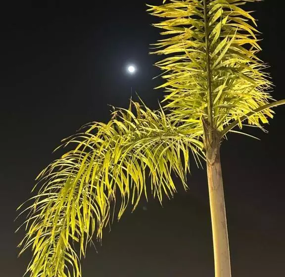 Shivanjalriverresort