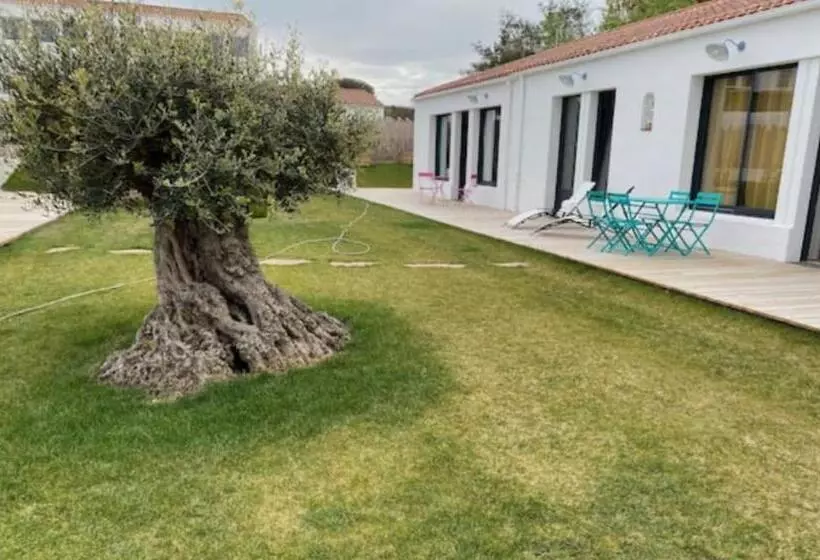 ベッドアンドブレックファースト Suite New York Au Old School