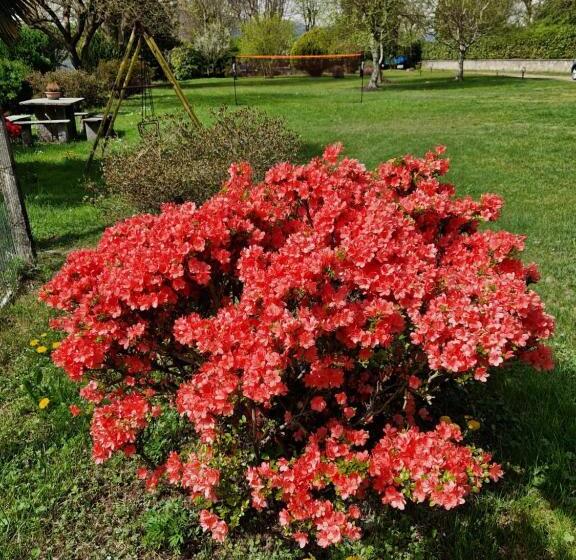 פנסיון L Oasi Amena Camera Salvia