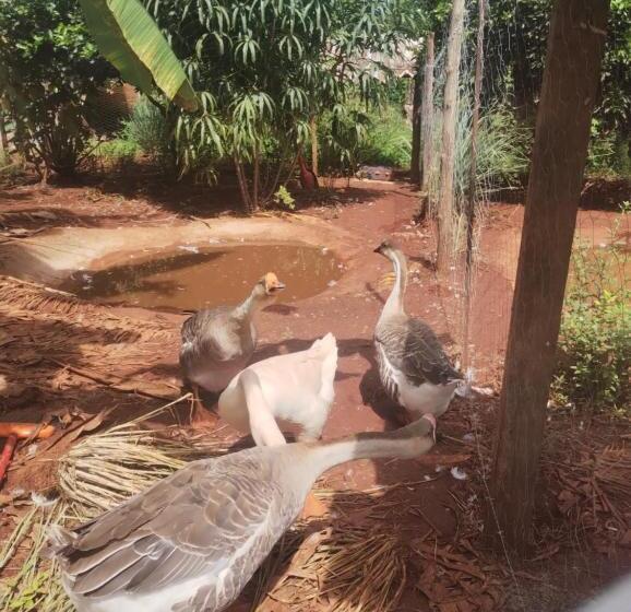 هتل Pousada Pôr Do Sol