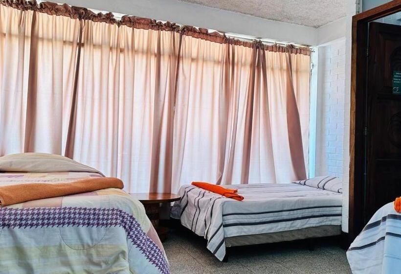 هتل Royal Palace Hostal