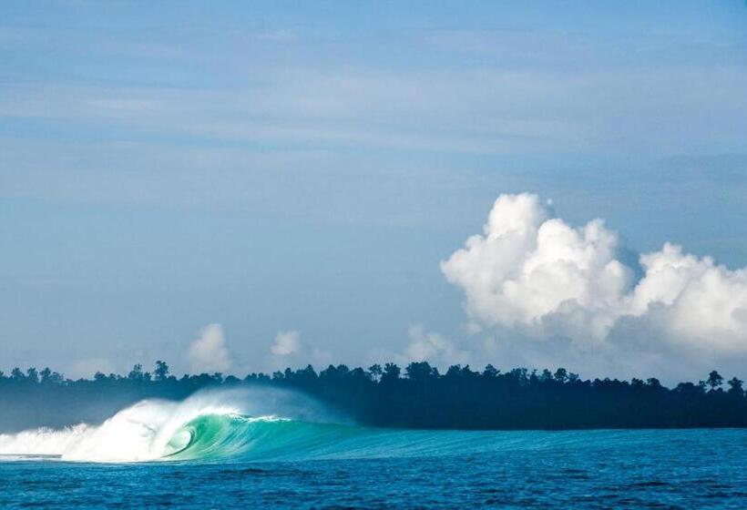 Otel Sunset Surfing Villas Mentawai