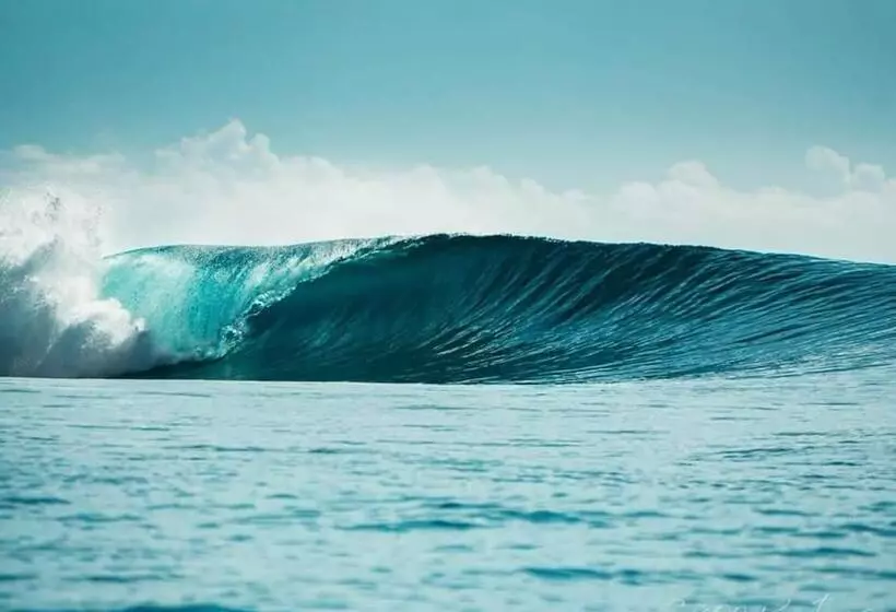 ホテル Sunset Surfing Villas Mentawai