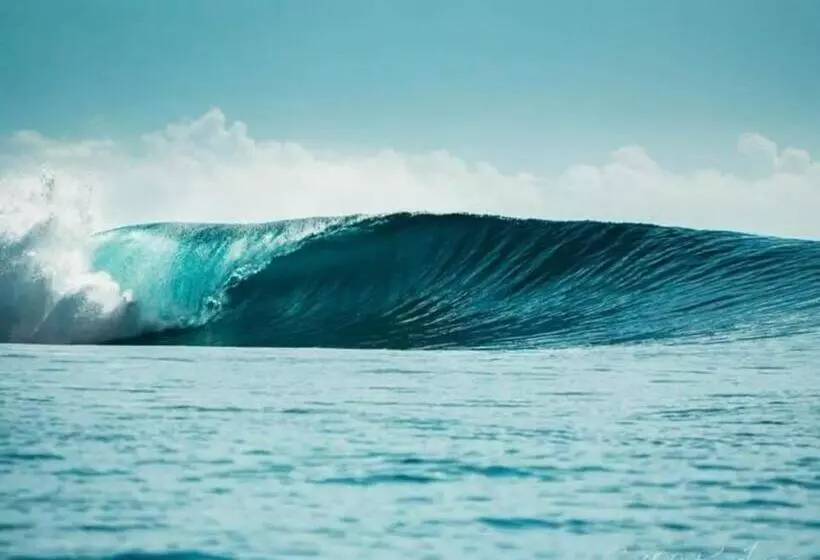 ホテル Sunset Surfing Villas Mentawai