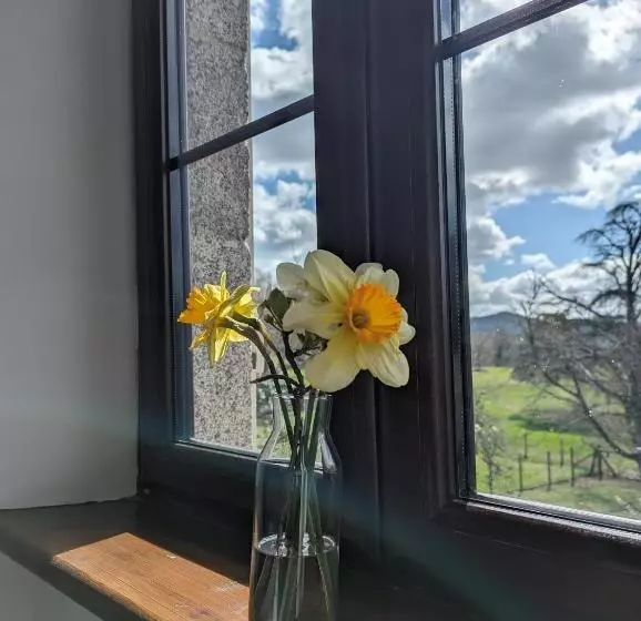 Aamiaismajoitus (B&B) Trente Trois Le Nouhaud