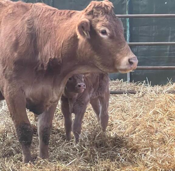 בית מלון כפרי Agriturismo Prato Del Re