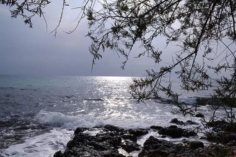 ホテル Del Mare