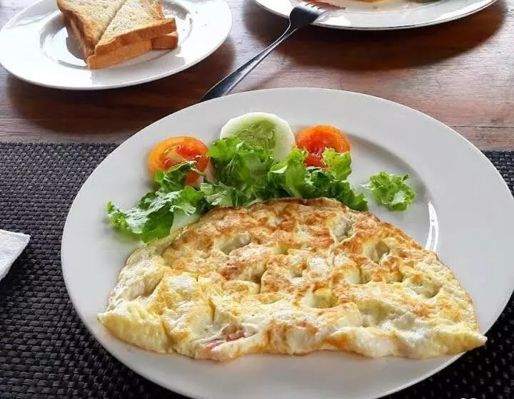 Majatalo Evi S Place