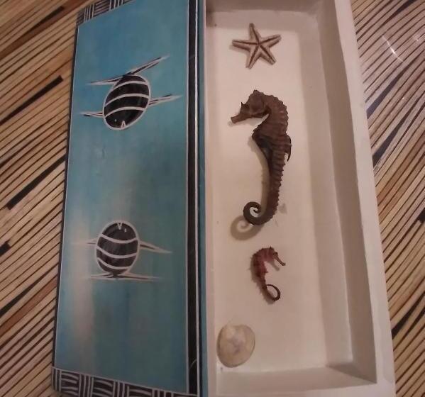 تختخواب و صبحانه Casa Del Capitano Suite