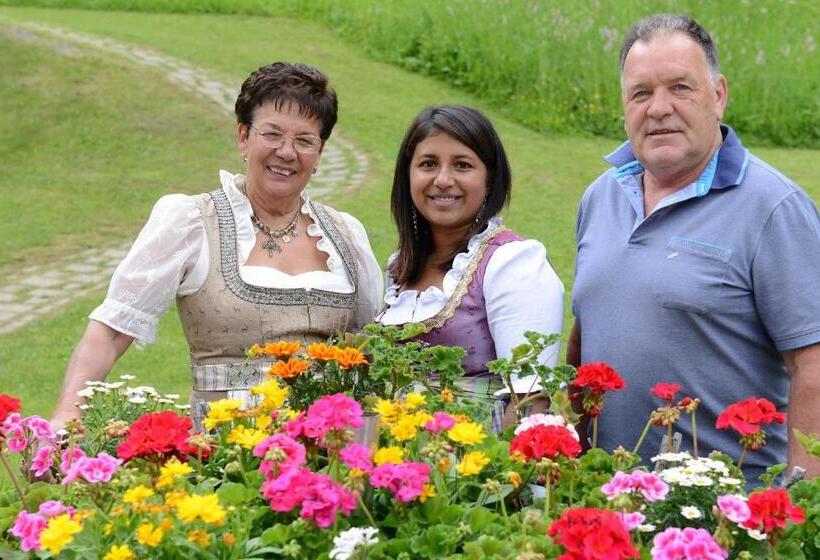 B&b Appartments Cudlea