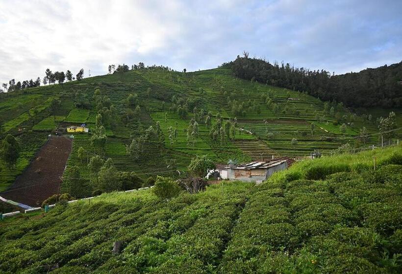 צימר Fern Ville Rooms And Cottages