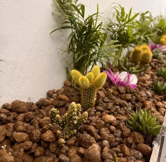 تختخواب و صبحانه Le Temple Du Luxe