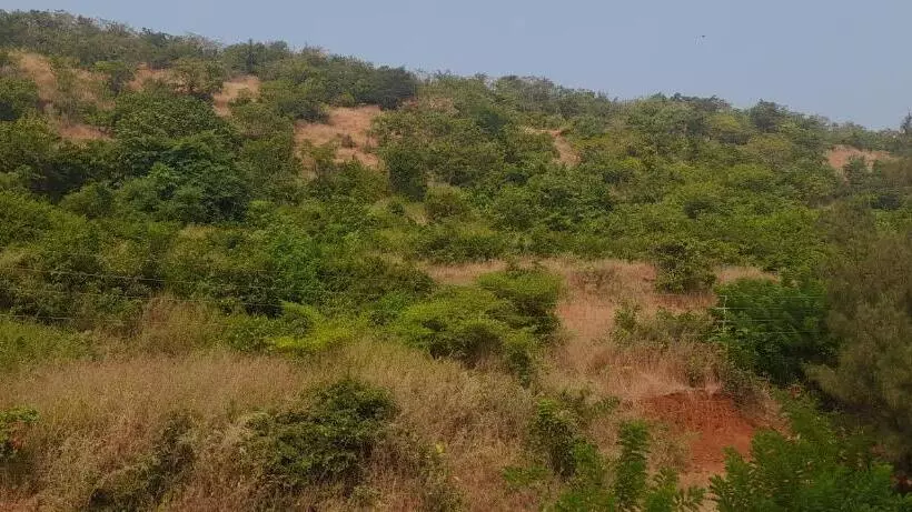 Hotelli Blue Ocean Sea View