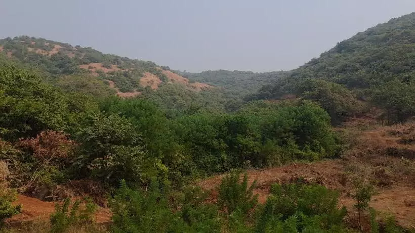 Hotelli Blue Ocean Sea View