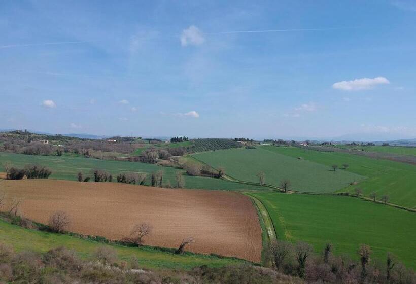 酒店 Borgo Sant Apollinare Resort