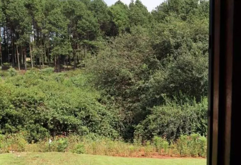 ペンション Fiddler S Green