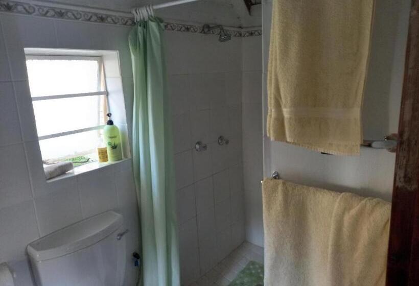 Bed and Breakfast Rosina Cottages