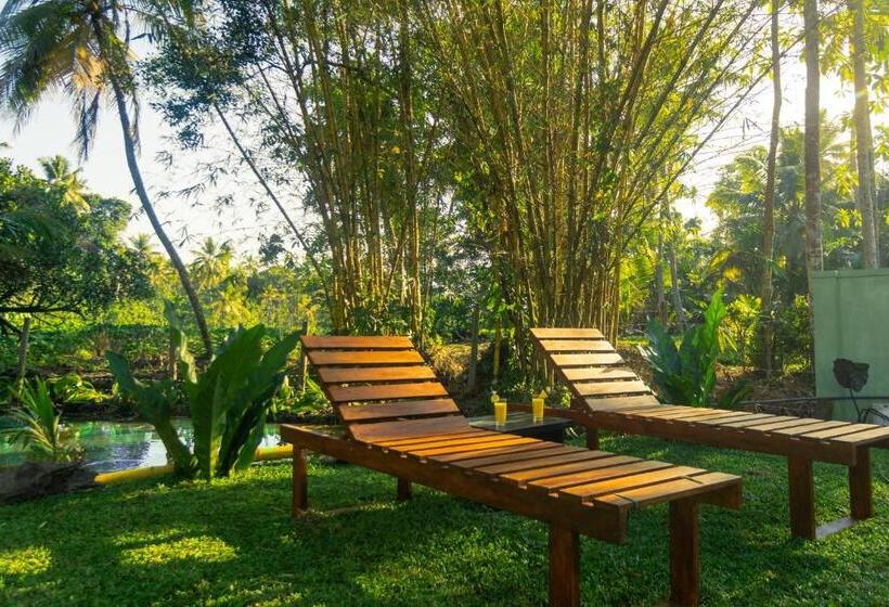 ベッドアンドブレックファースト Three Lines