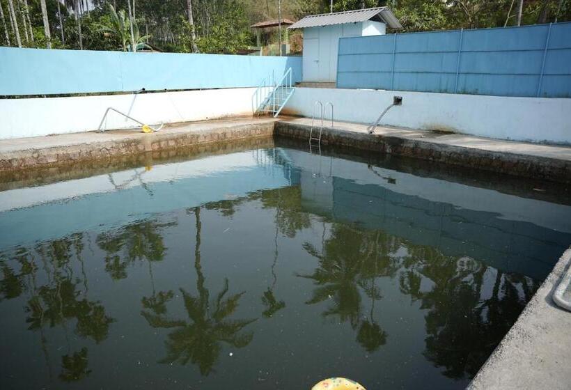 פנסיון Misty Night Jungle Side Resort