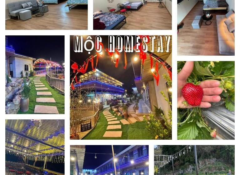 هتل Mộc Homestay