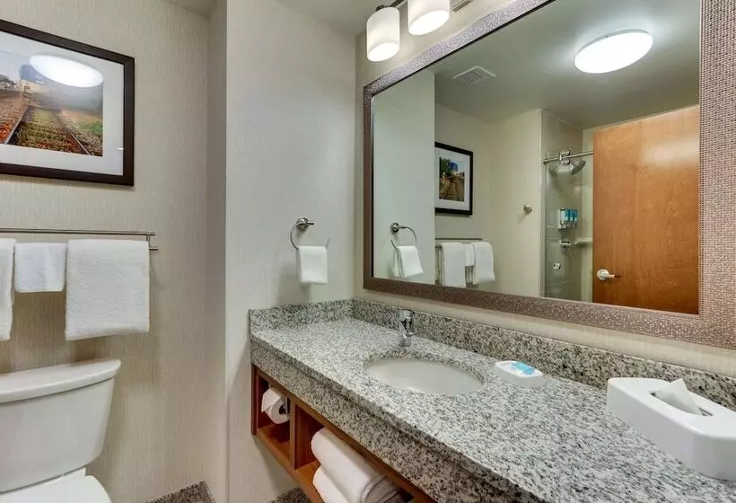 Drury Plaza Hotel Chattanooga Hamilton Place