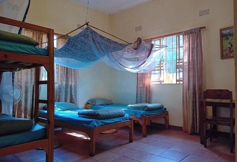 호스텔 Blend Lodge And Kitchen   Pakachere