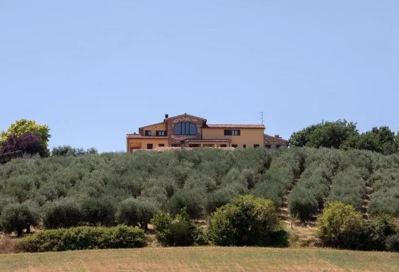 B&b La Casa Fra Gli Olivi