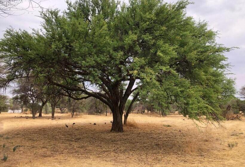 تختخواب و صبحانه Okahandja Country