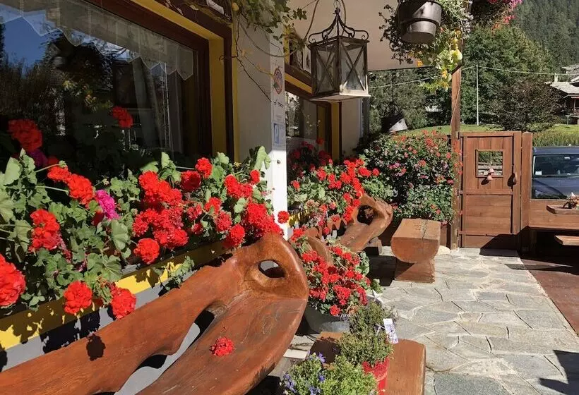 ホテル Albergo Alpenrose Ski&bike Mountain
