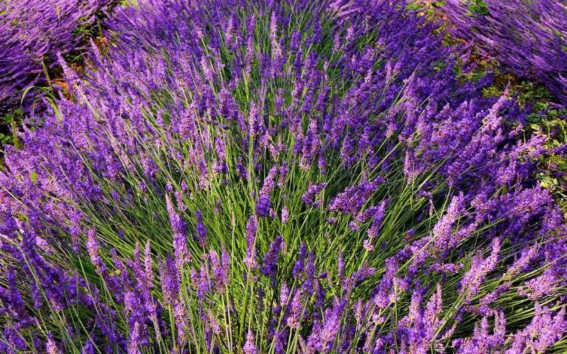 هتل Podere Dell'arco Country Charme