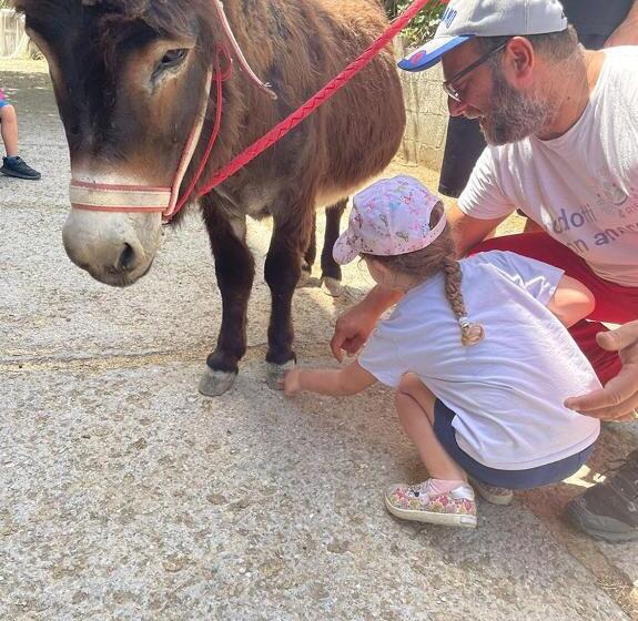 هتل Agricola Baldo E Riccia   Centro Iaa Per Pet Therapy   Fattoria E Agriturismo