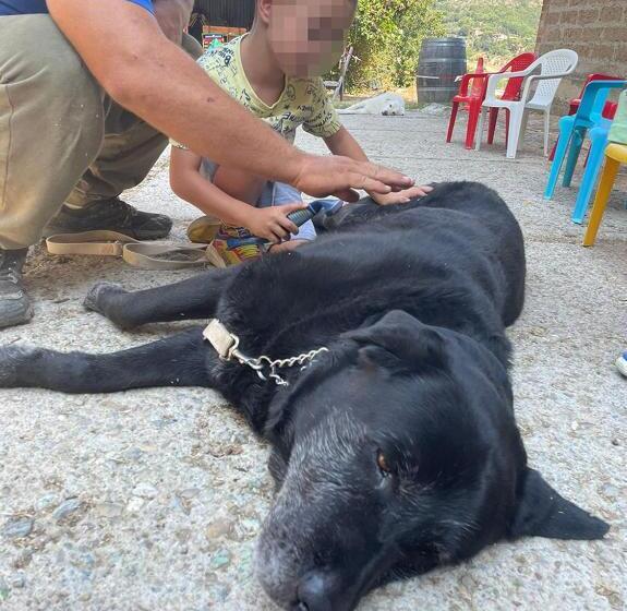 هتل Agricola Baldo E Riccia   Centro Iaa Per Pet Therapy   Fattoria E Agriturismo