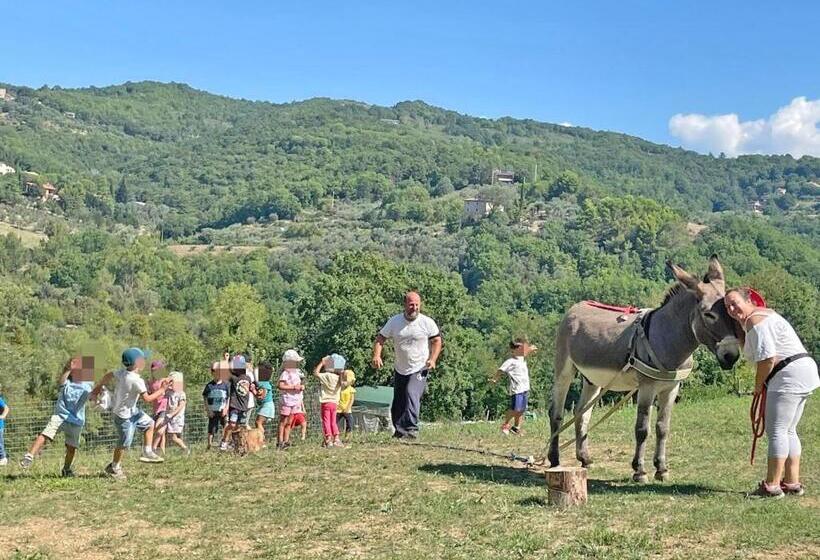 هتل Agricola Baldo E Riccia   Centro Iaa Per Pet Therapy   Fattoria E Agriturismo