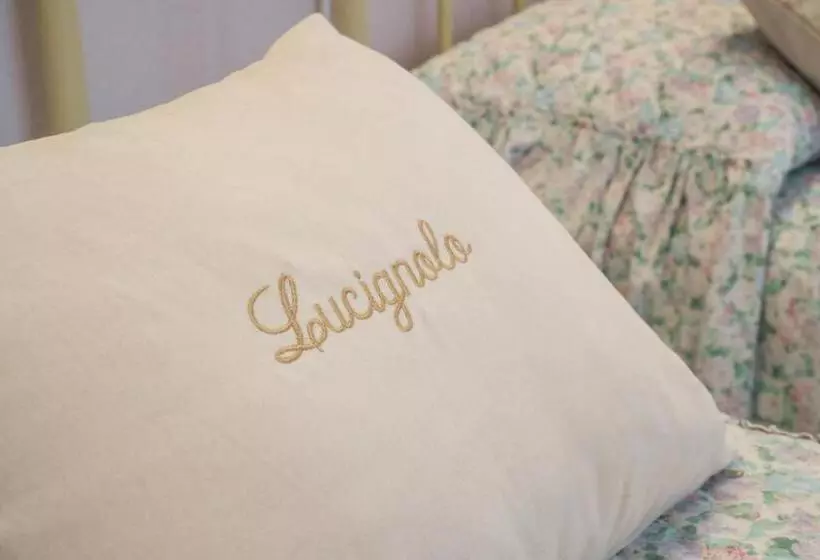 ペンション Lucignolo