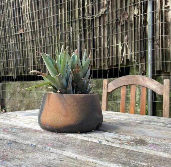 هتل Suíte Farm Panorámica, Centro Praia Do Rosa