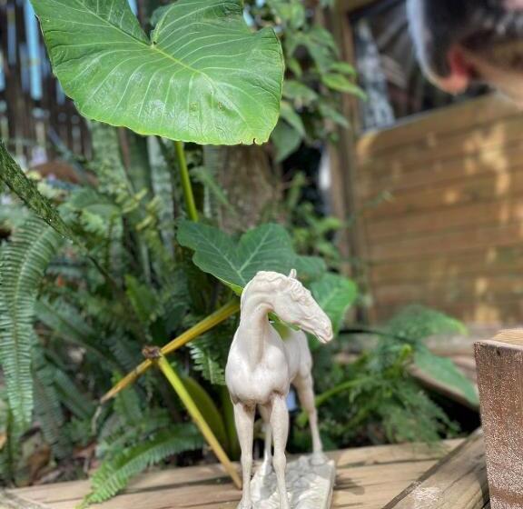 هتل Suíte Farm Panorámica, Centro Praia Do Rosa