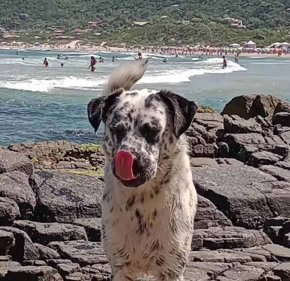 هتل Suíte Farm Panorámica, Centro Praia Do Rosa