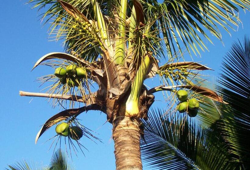 هتل Hôtel Le Nathania