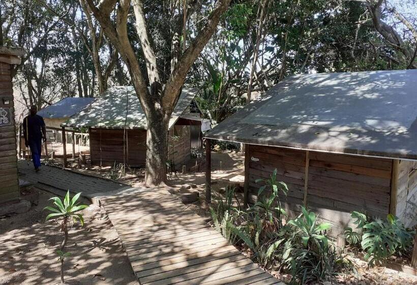 הוסטל Hazyview Adventure Backpackers