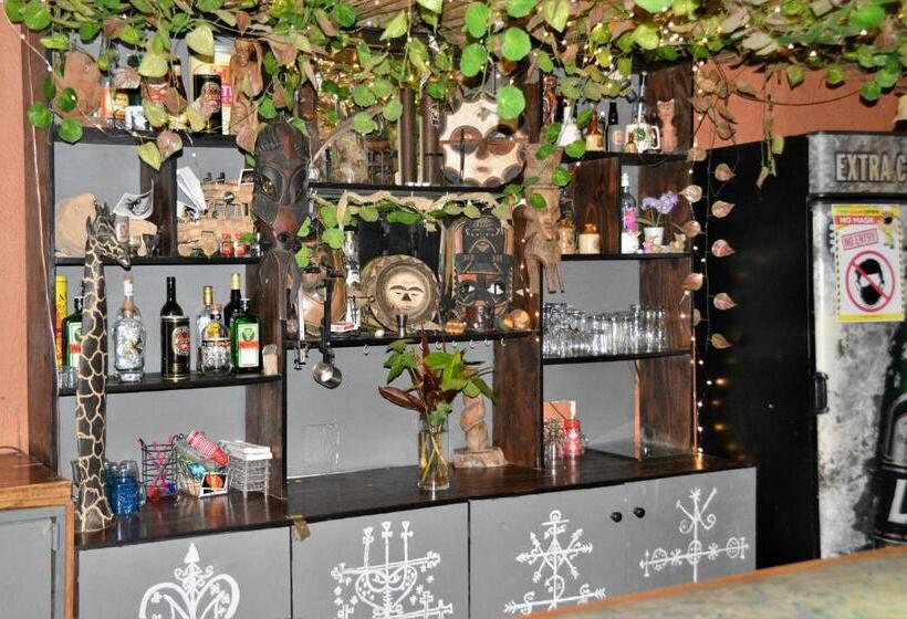 הוסטל Hazyview Adventure Backpackers