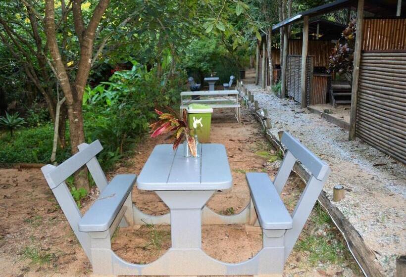 הוסטל Hazyview Adventure Backpackers