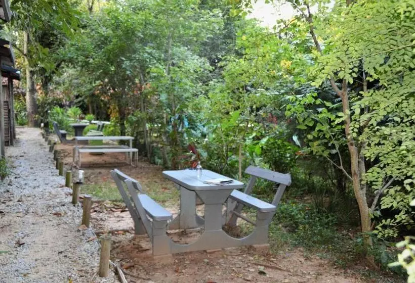 هاستل Hazyview Adventure Backpackers