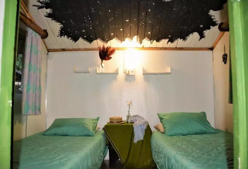 هاستل Hazyview Adventure Backpackers
