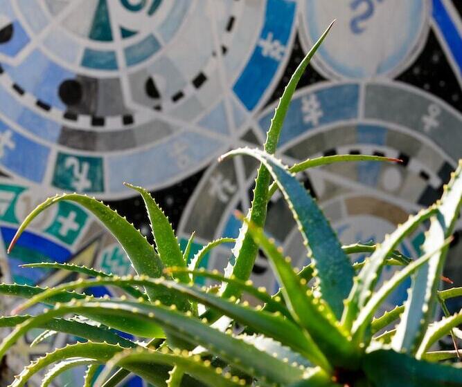 הוסטל Karoo Soul