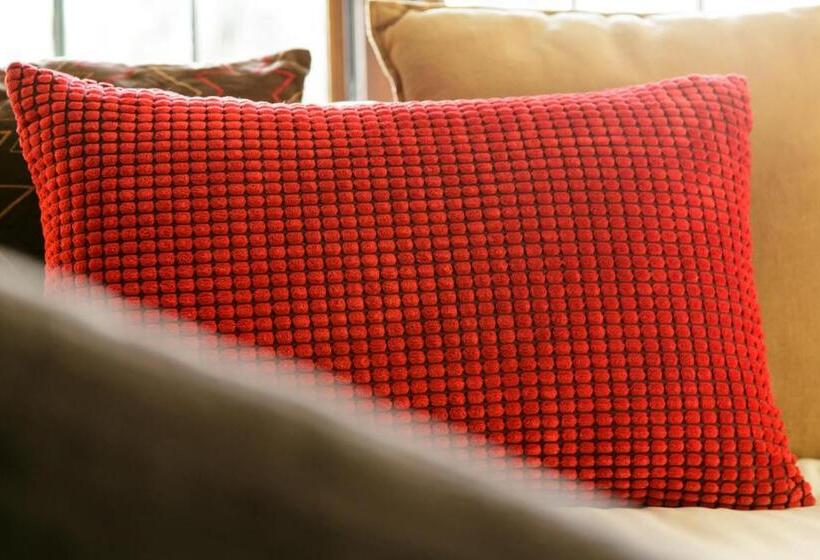 הוסטל Karoo Soul