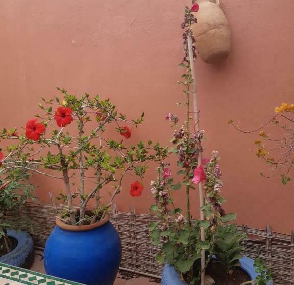 Bed and Breakfast Chambres D Hôtes Les Amis