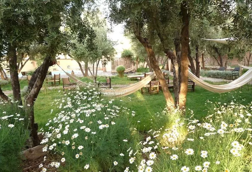 ベッドアンドブレックファースト Les Jardins De Skoura